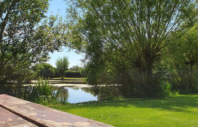 Kingsgate Park